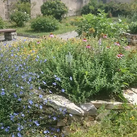 Hotel Jakob Kern Gastehaus Im Stift Geras